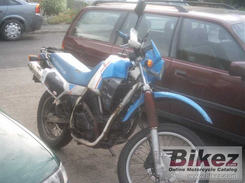 Big Justin H elefant 350 picture and wallpaper from Bikez.com